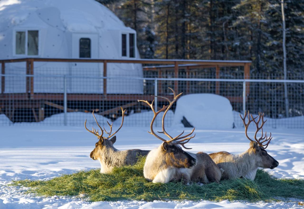 Pleasant ValleyPleasant Acres Reindeer Ranch别墅 外观 照片